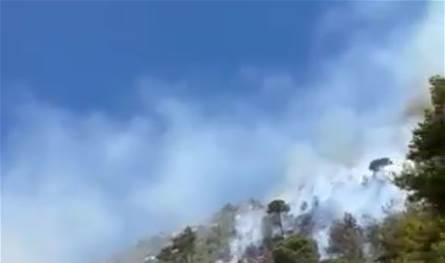 بالفيديو: حريق كبير يلتهم الأحراج في جبل سير – رشميا