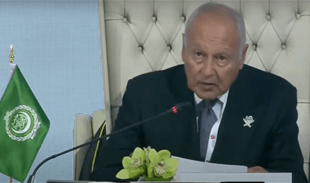 أبو الغيط يدعو المجتمع الدولي لوقف صمتهم عن جرائم إسرائيل