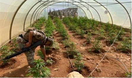 الجيش يواجه إطلاق نار ويضبط أسلحة.. بيانٌ يكشف ما جرى في بعلبك! (صور)