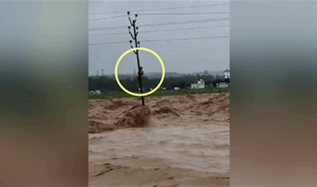 بالفيديو.. كان يقضي حاجاته فتفاجأ بالفيضان