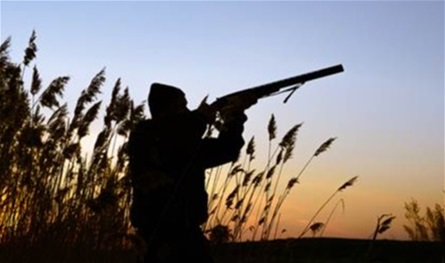 بشأن &quot;الصيد البري&quot;.. تعميمٌ من &quot;الداخلية&quot; و &quot;الزراعة&quot;