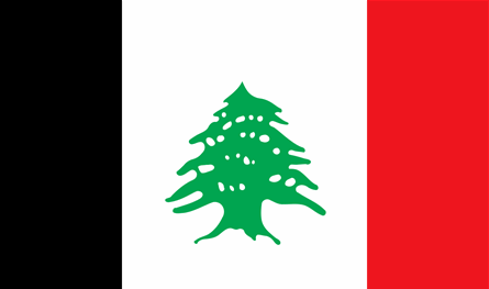 حزب &quot;الاتحاد&quot; يحيي ذكرى الرئيس جمال عبد الناصر