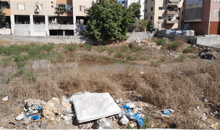 مناشدة من أهالي في بلدة تول الجنوبية لوزيرة البيئة ومحافظ النبطية