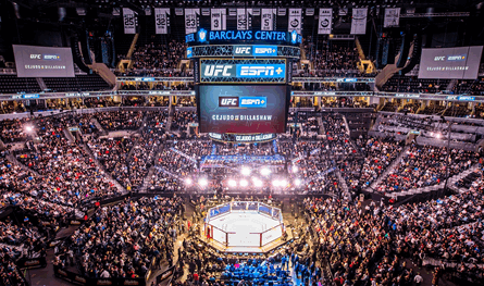 نجل بطل الـ&quot;UFC&quot; أمام القضاء.. هل اعتدى على مصارع محترف؟