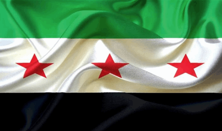 الأسلحة الكيميائية في سوريا إلى زوال.. وترحيب سوري بالقرار