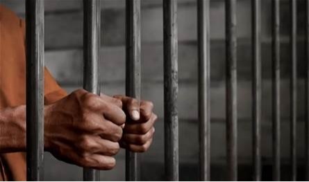 من الحمرا إلى جونيه: سقوط شبكة تزوير في قبضة الأمن