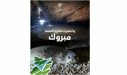 حماية فقمة الراهب المتوسطية في عمشيت: وزارة البيئة توقف أعمال البناء