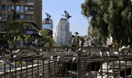 سوريا تُحضّر لجولة ترويجية لاستقطاب استثمارات