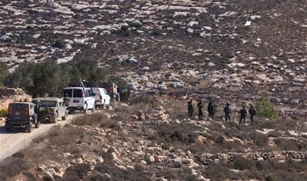 تقييد وحرق وترويع.. 158 انتهاكًا موثقًا ضد الفلسطينيين في موسم الزيتون