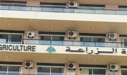 بعد تسجيل حالات نفوق حيوانات برّية.. تحذير من وزارة الزراعة