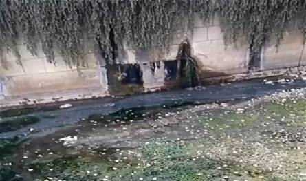 بالفيديو... تسرّب مياه ملوثّة إلى نهر البردوني
