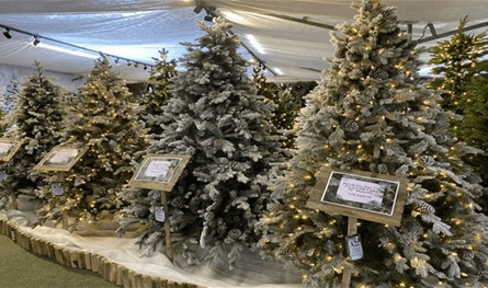  أزمة زينة الكريسماس في أميركا.. نقص في المخزون وارتفاع في الأسعار