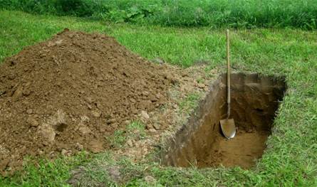 شاب يقتل والده في مصر للاستيلاء على &quot;توك توك&quot;