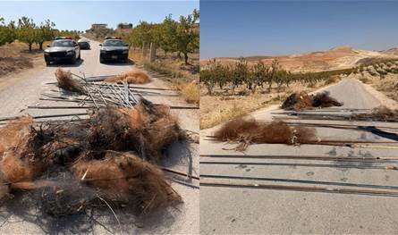 في البقاع.. إزالة شباك الصيد غير القانوني