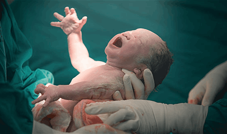 في دولة عربية.. ولادة على الطريق