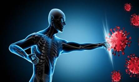 نقص الأوكسجين.. يعيد برمجة جهاز المناعة ويضعفه بعد التعافي