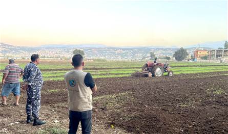 بالصورة.. إتلاف مزروعات غير مطابقة للمعايير الصحية