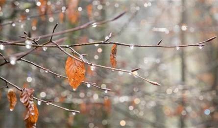 استقرار جوي وطقس دافئ حتى مطلع الأسبوع