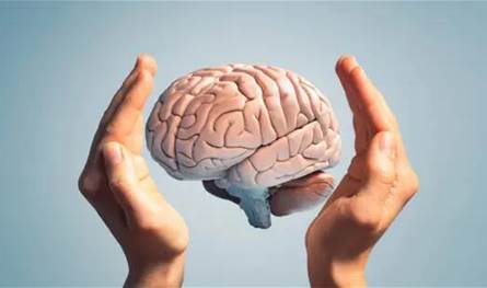 الشيخوخة الدماغية.. هل تختلف بين الرجال والنساء؟