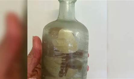 زجاجة من الحرب العالمية الأولى تفاجئ عائلة.. ماذا فيها؟