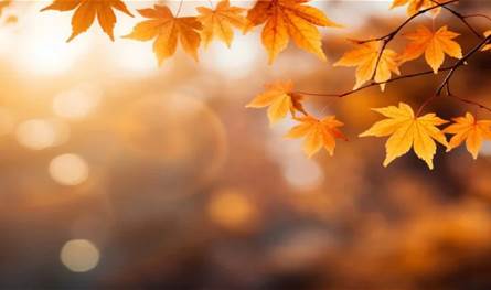 الرطوبة منخفضة.. طقس خريفي يسيطر على لبنان في اليومين المقبلين