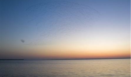 من هي الدول التي تمتلك أكبر احتياطيات من المياه العذبة؟