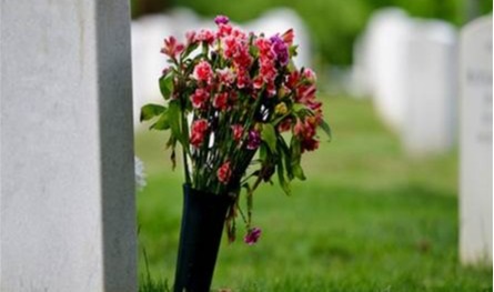 مُخضرم الثمانينيات.. رحيل أيقونة الكوميديا