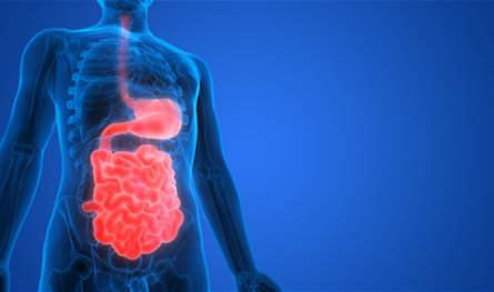 احذروها.. عادة شائعة تعيق الهضم الطبيعي