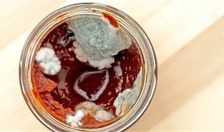 هل يجب استعمال معجون الطماطم بعد إزالة العفن؟ دراسة تجيب 