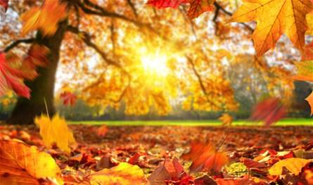 درجات الحرارة مرتفعة.. كيف سيكون طقس بداية الأسبوع؟