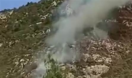 اندلاع حريق في أحراج تابعة لبلدة قبعيت.. وأعمدة الدخان تغطي سماء المنطقة