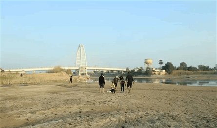 كارثة في بلدٍ عربيٍّ... الأسماك والطيور اختفت!