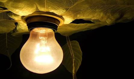 هل يزيد الضوء الصناعي ليلا من خطر الإصابة بأمراض القلب؟