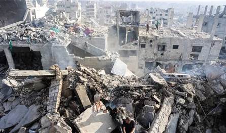 الزراعة تنهار في غزة.. و90% من السكان عاجزون عن تأمين غذائهم