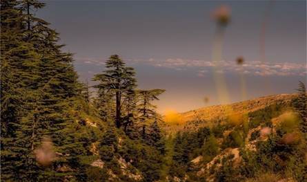 موظفون محرومون من تقاضي رواتبهم