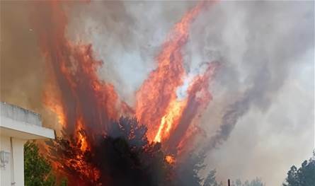 حريق كبير في كوثرية السياد... ومناشدة من الأهالي (فيديو)