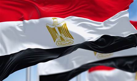 بمليارات الدولارات.. مصر تعلن عن امتلاكها ثروة كبيرة