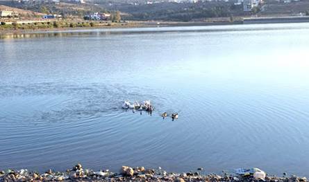 مبادرة بيئية في عكّار: إعادة طيور بريّة إلى الطبيعة