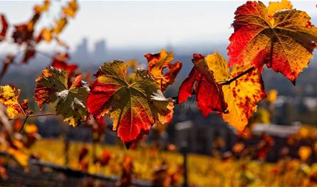 الحرارة تخطت ليلا الـ30 درجة.. هل سيشهد لبنان منخفضات جوية قريباً؟ 