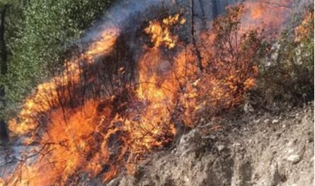 النيران اقتربت من المنازل.. حريق كبير في حرج بلدة دبعل (صور)