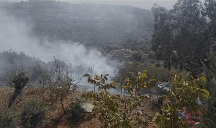 بالفيديو: حريق ضخم في بعقلين يهدد المنازل والأحراج