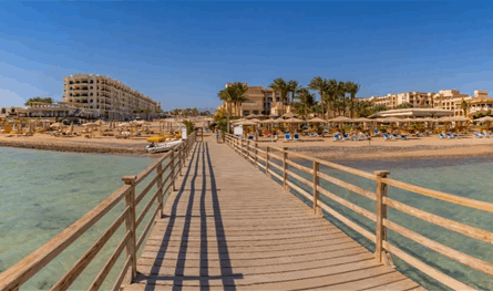 قطر تضخ 3.5 مليارات دولار مقابل تطوير &quot;سملا&quot; و&quot;علم الروم&quot;… ومصر تحصل على حصة عينية وأرباح