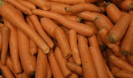 هل يسبب الجزر السكري؟