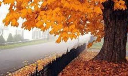 في نهاية الاسبوع.. طقس متقلب يسيطر على لبنان