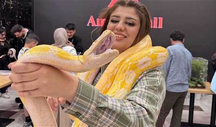 دولة عربية تستضيف فعالية غير مألوفة.. مهرجان للثعابين داخل المول