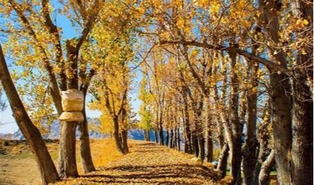 &quot;عروس الخريف&quot;.. اللقلوق وجهة سياحية ساحرة لا تُفوّت (صور)