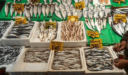 تسوق عابر للحدود… الأتراك يغزون الأسواق اليونانية هربًا من الغلاء