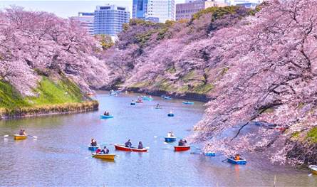 عاصمة آسيوية تهيمن على الصدارة: من هي أغنى مدينة في العالم؟