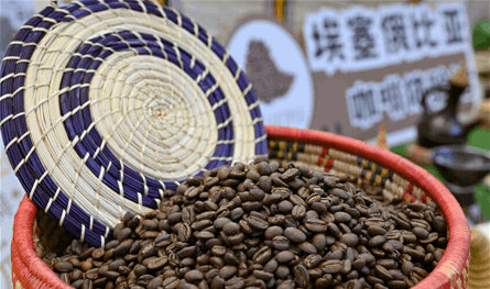 محاصيل العنب والبنّ والكاكاو في وضع صعب.. هل سنفقد هذه المحاصيل؟