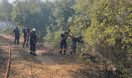 حرائق العيشية والجرمق مستمرّة.. والأهالي يناشدون الجيش التدخل 